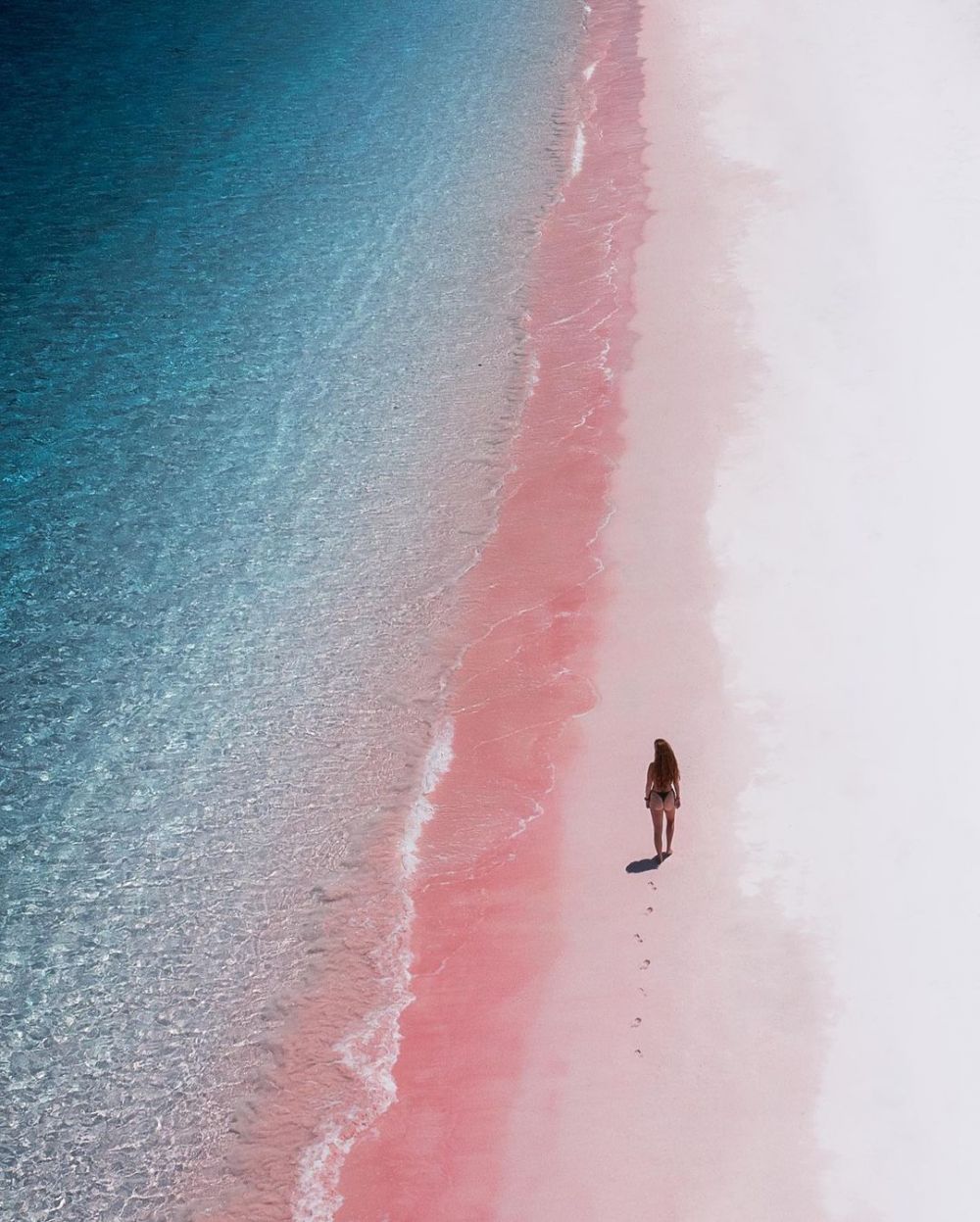  10 Pesona Pink Beach Pulau Komodo, Secuil Surga Bahari di Labuan Bajo!