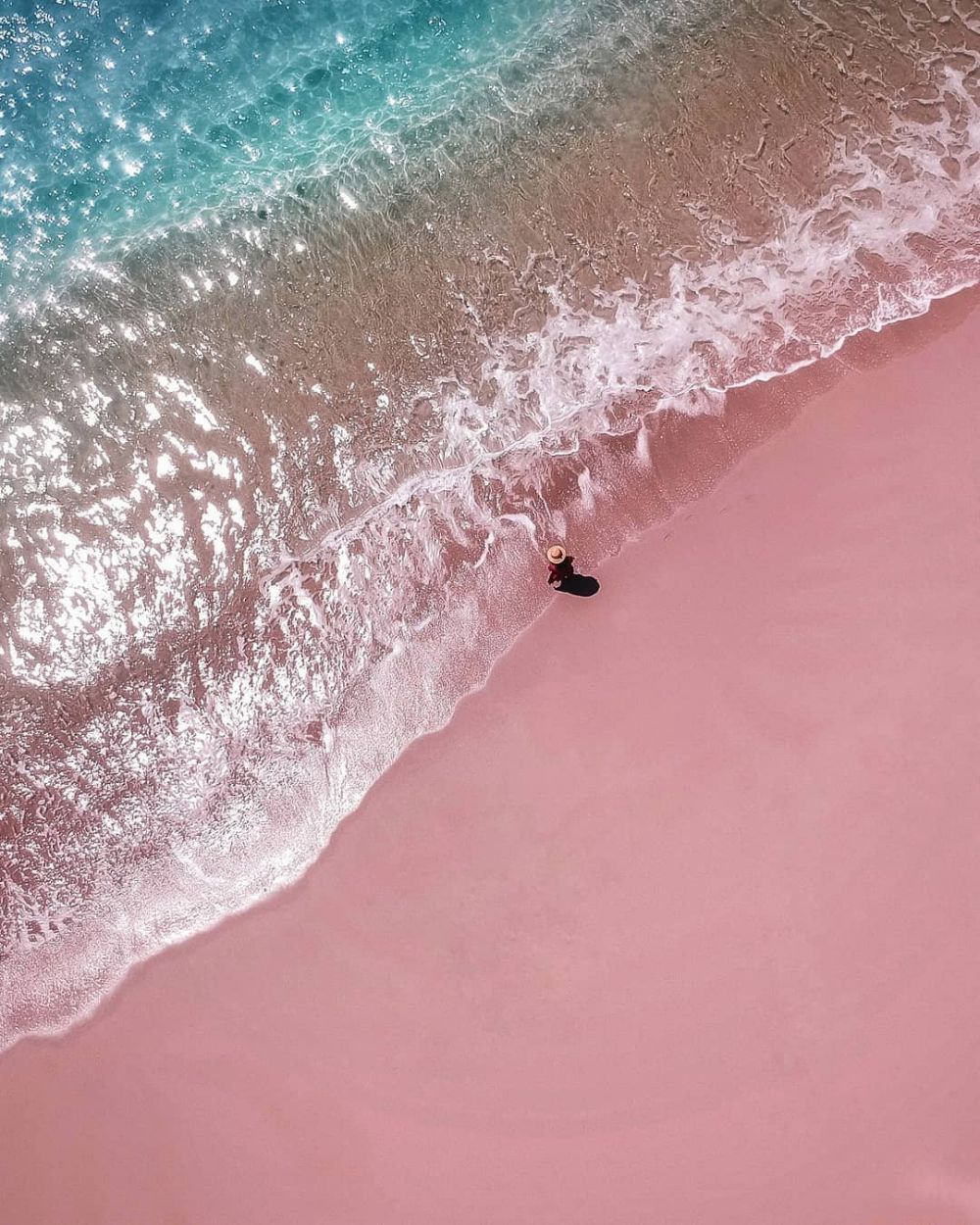  10 Pesona Pink Beach Pulau Komodo, Secuil Surga Bahari di Labuan Bajo!
