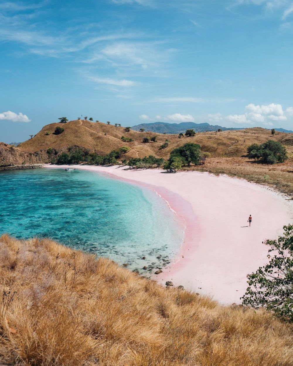  10 Pesona Pink Beach Pulau Komodo, Secuil Surga Bahari di Labuan Bajo!