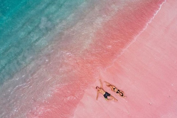 10-pesona-pink-beach-pulau-komodo-secuil-surga-bahari-di-labuan-bajo