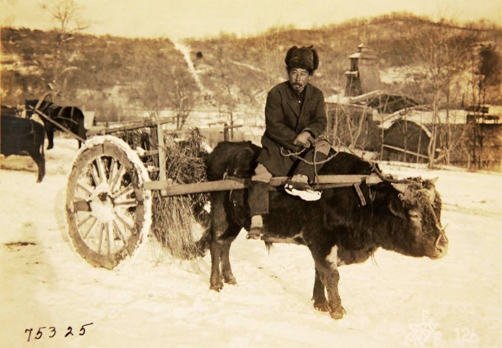 Mengenal Koryo Saram, Komunitas Korea di Negara Pecahan Uni Soviet