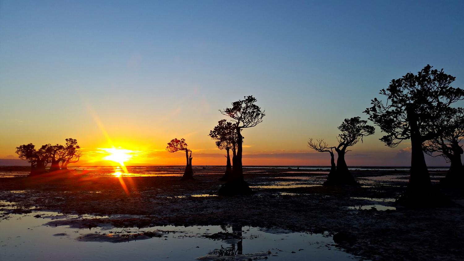 12 Alasan Kenapa Kamu Harus Traveling ke Sumba