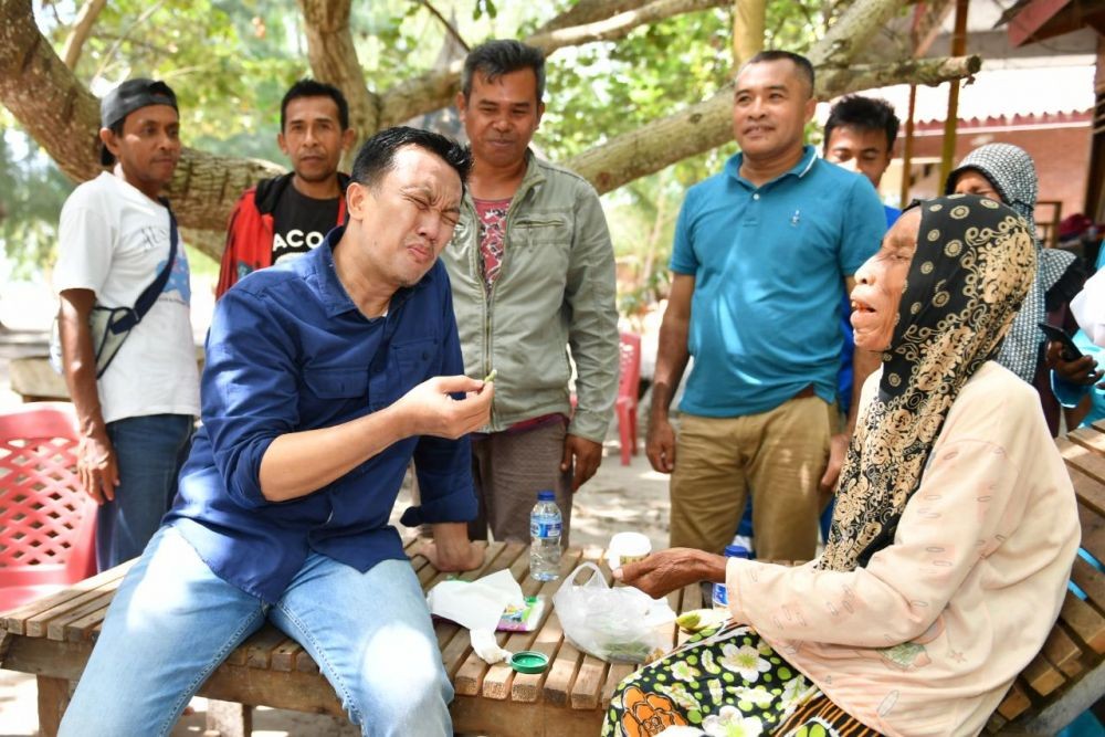 MANFAAT POHON PINANG
