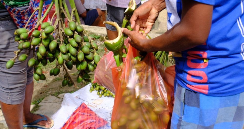 MANFAAT POHON PINANG
