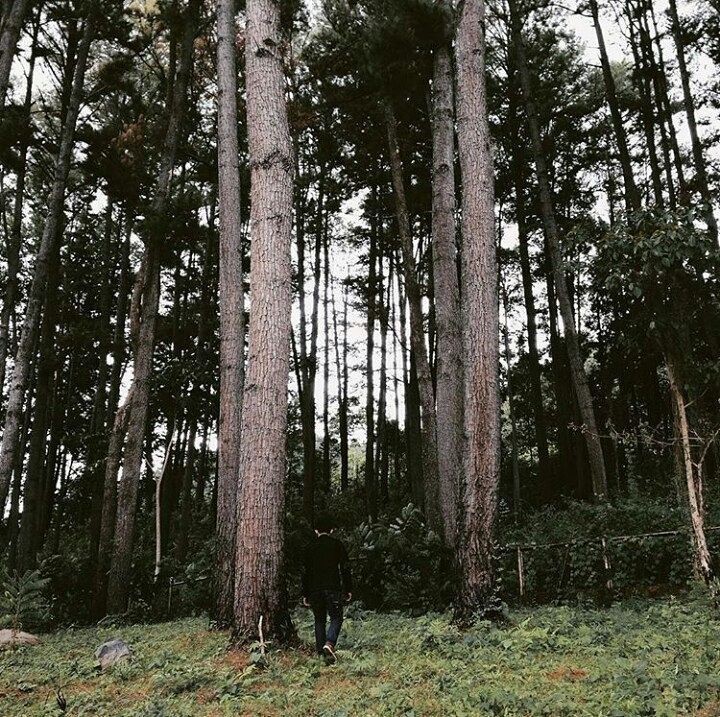 8 Wisata Horor di Aceh yang Bakal Bikin Bulu Kudukmu Merinding