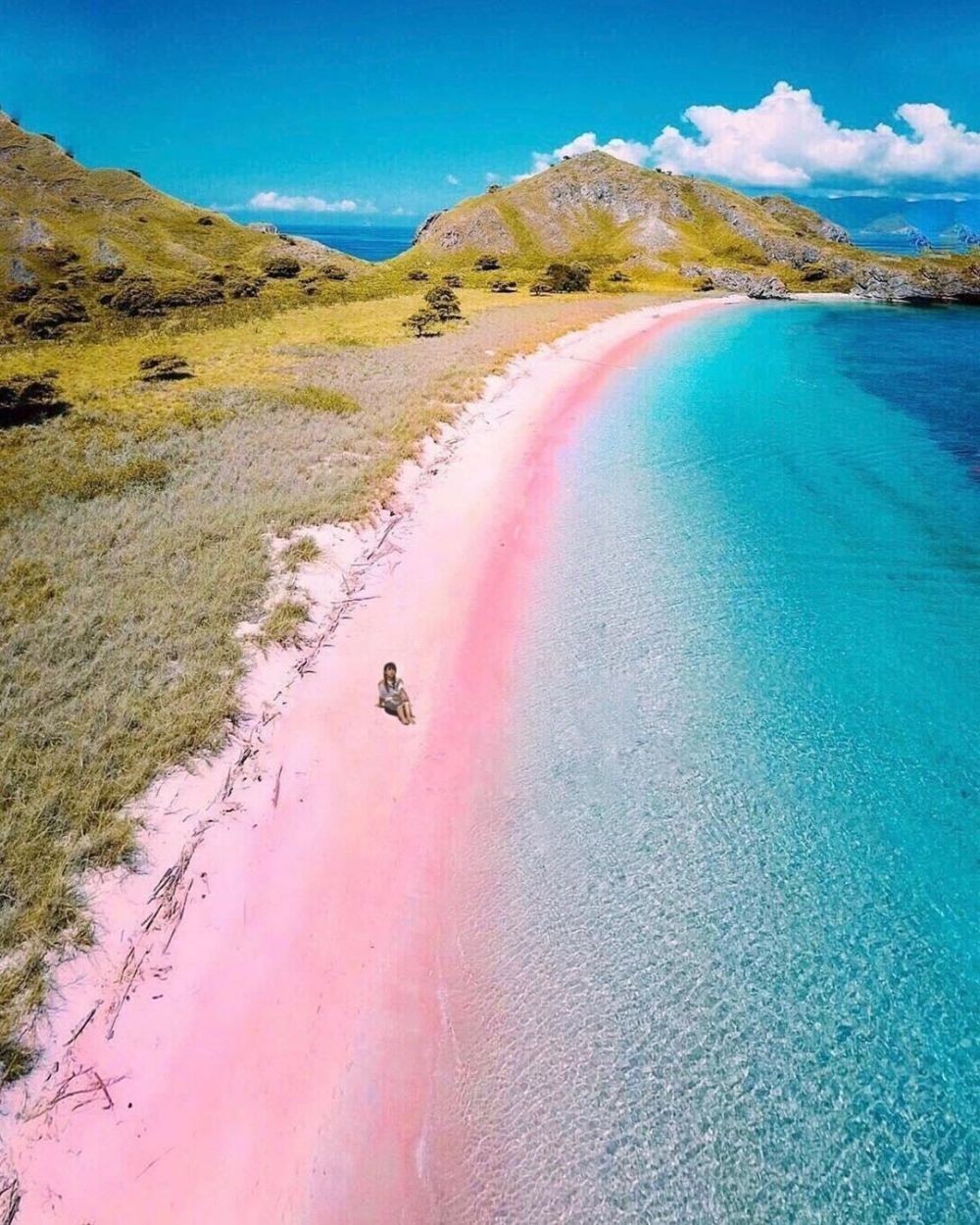 Wisata Pantai Pink Labuan Bajo: Lokasi, Rute, Harga, Aktivitas Serunya