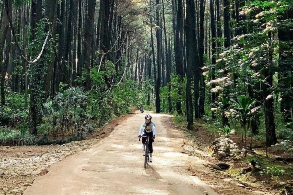 Pilihan Rekreasi Alam di Sentul, Bogor