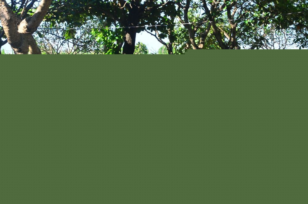 10 Wilayah dengan Kematian Akibat COVID-19 Terbanyak
