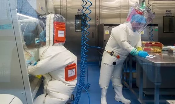 Coronavirus conspiracy: Wuhan scientists 'did crazy things' in shadowy lab