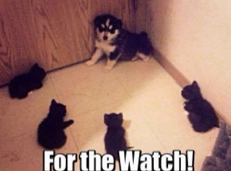 lounge-forki-ngobrol-bebas-ngalor-ngidul-disini-yuk-part-2---part-1