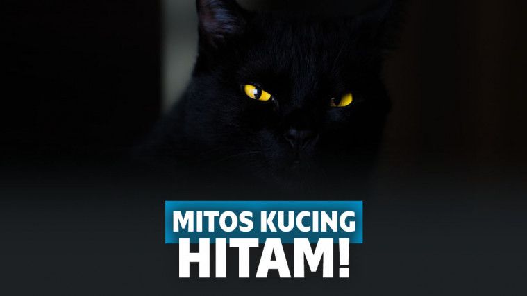 Jangan Sampai Terjadi ! Mitos - Mitos Ketika Halloween Berlangsung