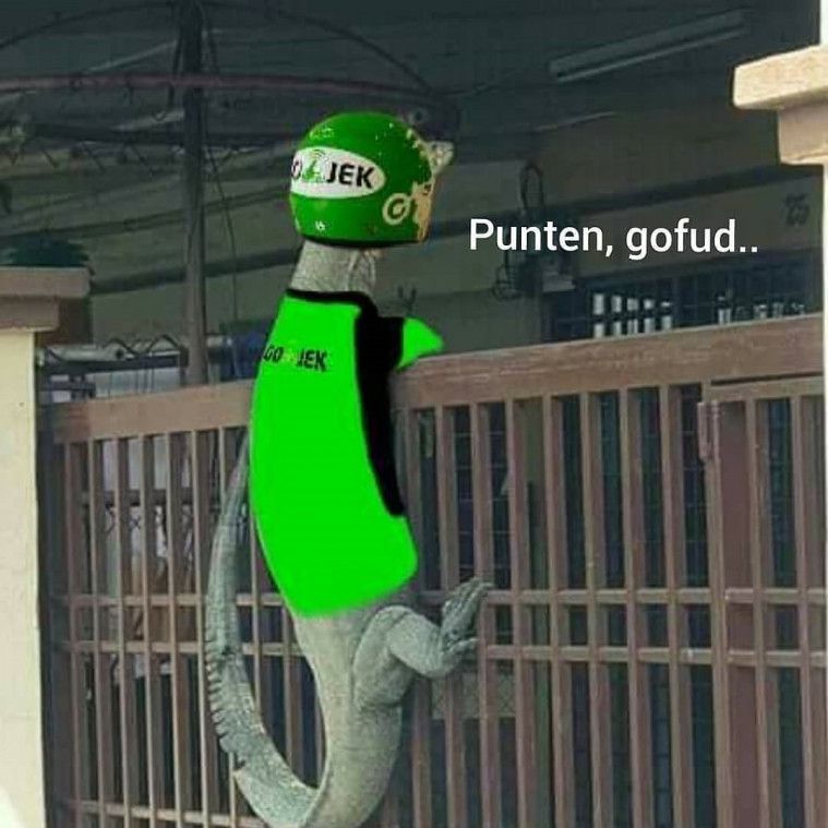Ada-ada saja Netizen, Kali ini Biawak jadi korban Editan Meme Kocak