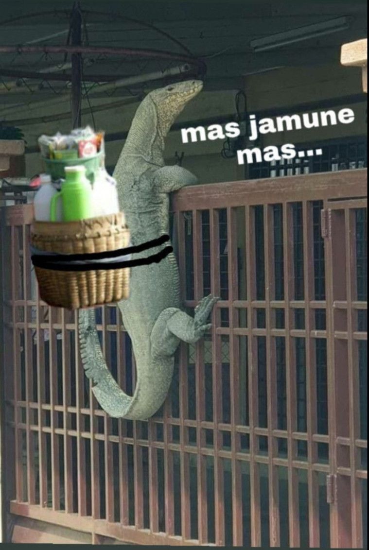 Ada-ada saja Netizen, Kali ini Biawak jadi korban Editan Meme Kocak