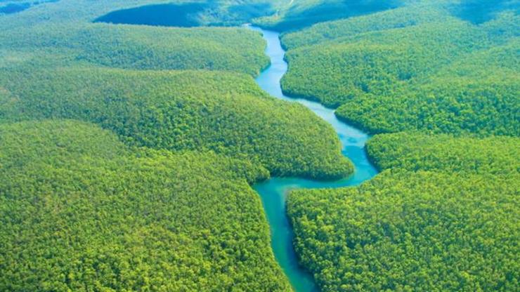 Juliane Koepcke “Solo Survivor” kecelakaan pesawat, hingga kengerian hutan rimba.