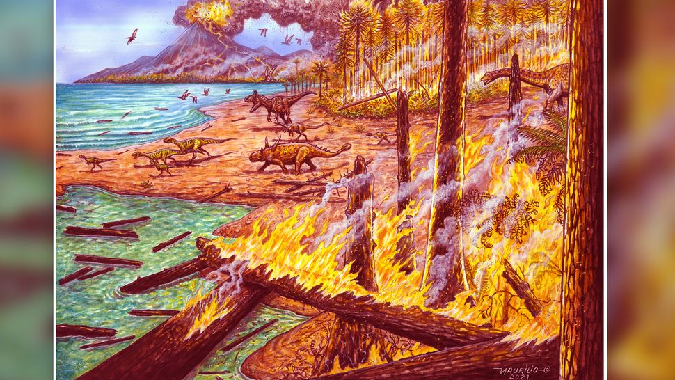 kebakaran-hutan-terbesar-di-antartika-pernah-terjadi-75-juta-tahun-lalu