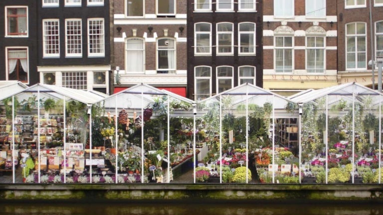 Indahnya Warna-Warni di Pasar Bunga Bloemenmarkt, Amsterdam