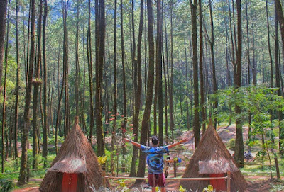 Bukit Sekipan Tawangmangu, Destinasi Wisata Berwahana Keren! Yakin Gak Mau Ke Sini? 