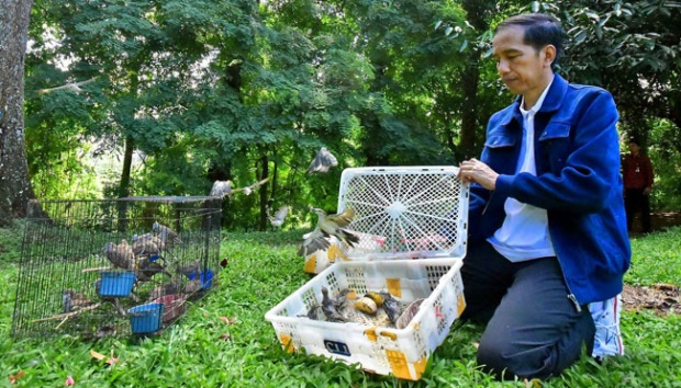 Jokowi Dicela Aktivis Satwa: Borong Burung di Pasar Pramuka