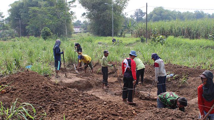 temuan-istana-di-situs-kumitir-ekskavasi-bisa-lanjut-lagi-oktober