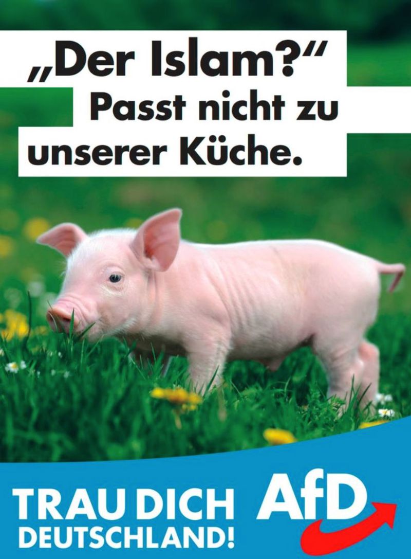 The German far right is running Islamophobic ads starring women in bikinis