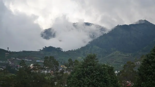 menjadi-raksasa-purba-dieng-di-atas-ranjang-dengan-purwoceng