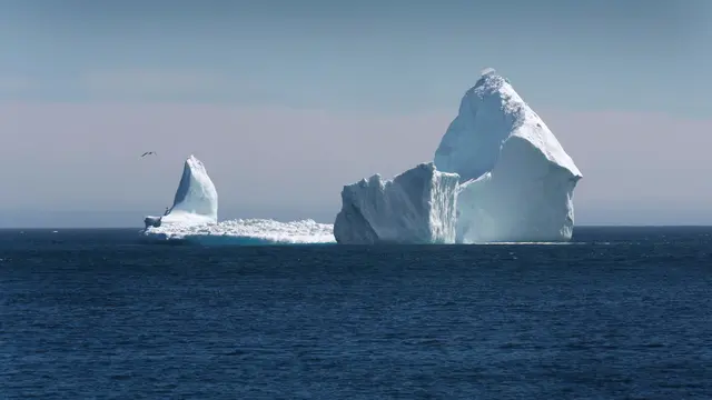 Pertama Kalinya Hujan Air Turun di Puncak Es Greenland, Dampak Pemanasan Global