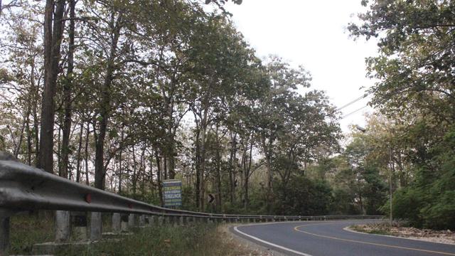 Diganggu Genderuwo Penunggu Hutan Pohon Jati Di Daerah Madiun