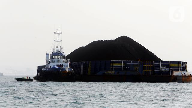 Philippines, Japan call on Indonesia to lift coal export ban