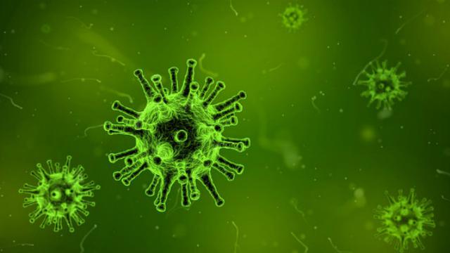 Kisah Ali Mohamed Zaki, Dokter Arab Saudi Dipecat Usai Temukan Virus Corona MERS