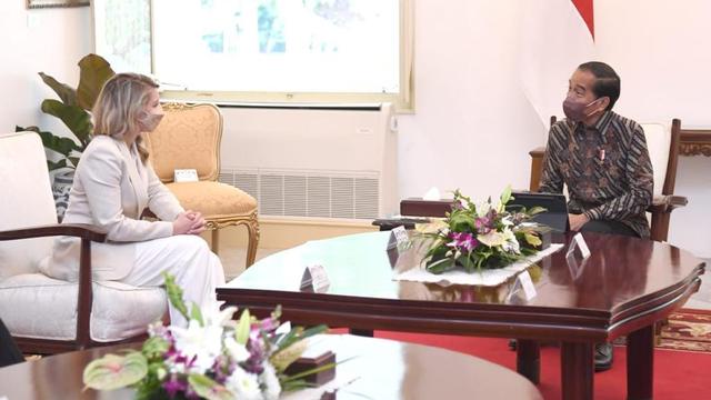 Ukraina Bukan Anggota G20, Akankah Diundang Indonesia?