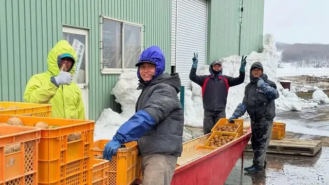 Puluhan Ribu Pekerja RI Bakal Dikirim ke Jepang, Cari Kerja di Indonesia Makin Susah?