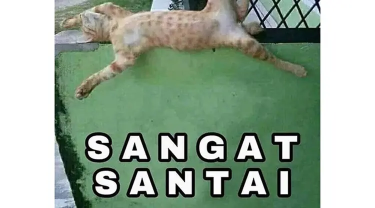 6 Meme Kucing Oranye yang Bar-Bar Ini Kocaknya Bikin Ngakak