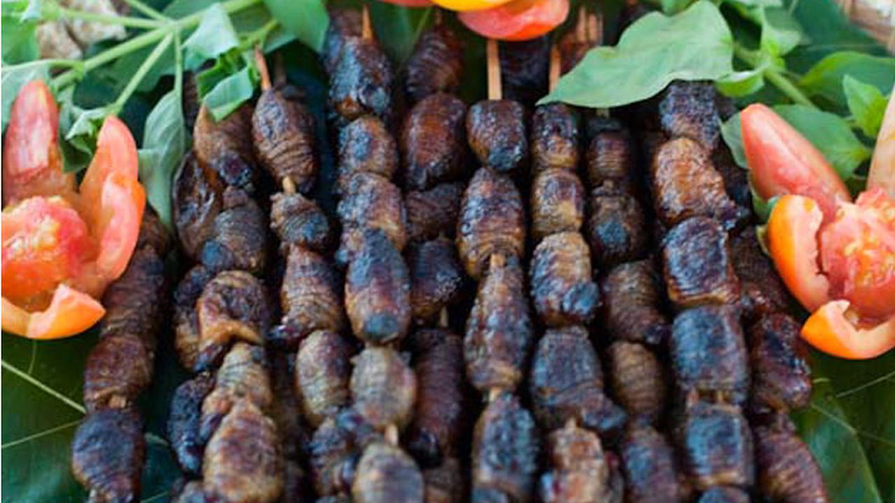 &#91;Coc Reg. Papua&#93; 5 Makanan Khas Papua