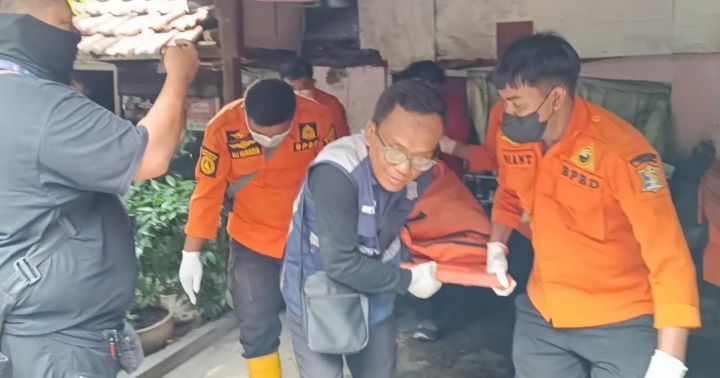 9 Anjing Dievakuasi dari Rumah di Surabaya usai Gigit Majikan Hingga Tewas
