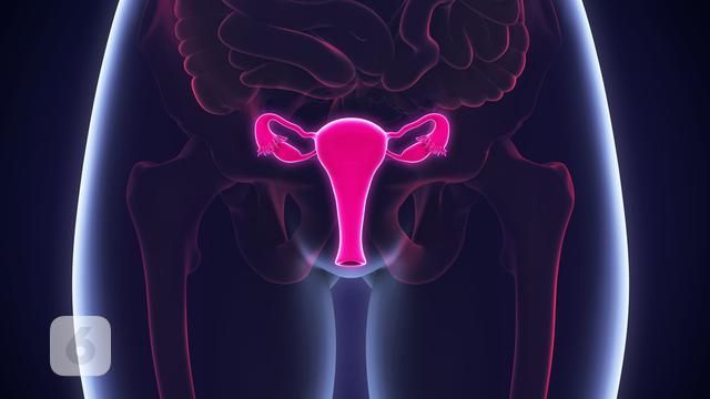 Wanita Amerika Benjolan di Vagina Dikira Rambut Tak Tumbuh, Ternyata Kanker Vulva