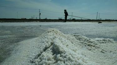 Harga Garam Petani Anjlok, Menteri Susi Minta Pengusaha Jangan Serakah 