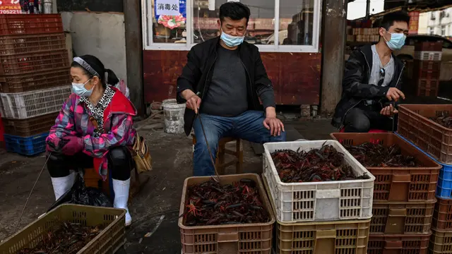 china-percaya-laporan-who-covid-19-bukan-made-in-wuhan