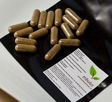Tingkatkan Gairah Seksual &amp; Massa Otot dengan Tribulus Terrestris