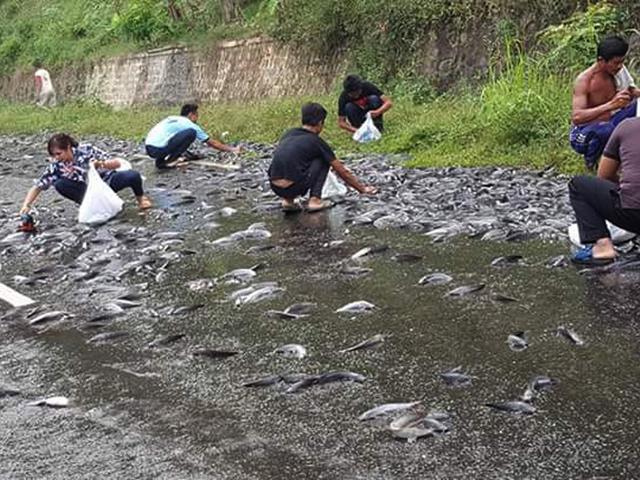 Hanya Di Indonesia, Buaya Dipancing Keluar Dari Sungai Buat Dijadiin Tontonan