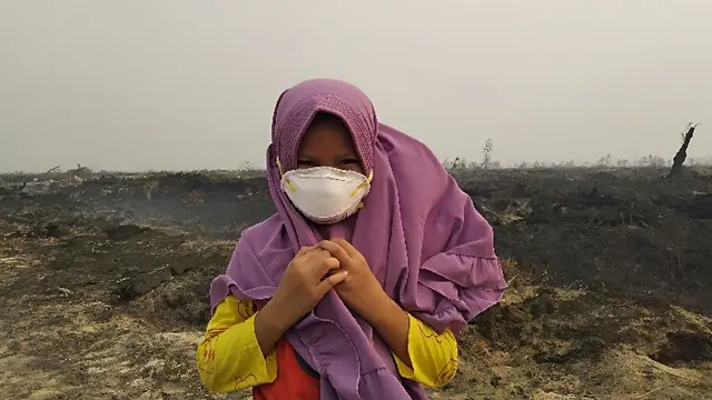 kebakaran-hutan-mengintai-di-tengah-pandemi-covid-19-caranya-untuk-mengantisipasi