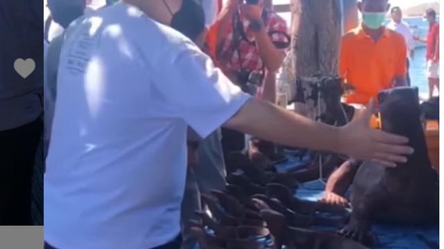 saat-erick-thohir-unggah-patung-komodo-warganet-salah-fokus