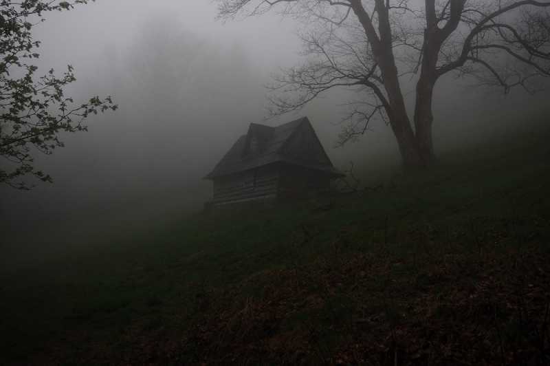 Tempat Aneh di Tengah Hutan