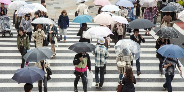 Perusahaan Asal Jepang Ini Bikin Aplikasi Penyewaan Payung