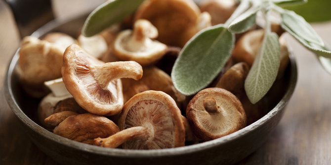 Ini 5 Makanan yang Membuat Orang Jepang Panjang Umur 