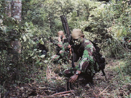 Menunggu Aksi Pasukan Elite TNI Bebaskan Sandera di Papua