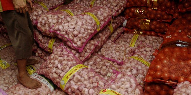 Kesulitan produksi bawang putih, 95 kebutuhan nasional dipenuhi dari impor