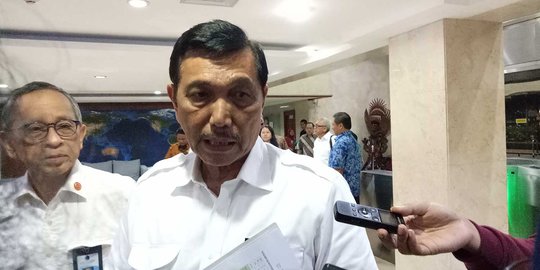 Luhut Akui Maskapai Penerbangan RI Alami Kerugian