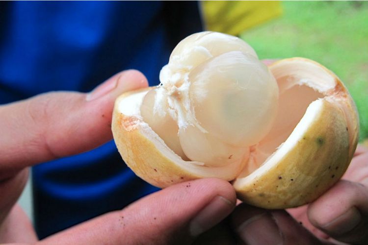 Waspada! 7 Makanan Ini Ternyata Bisa Picu Kanker Otak