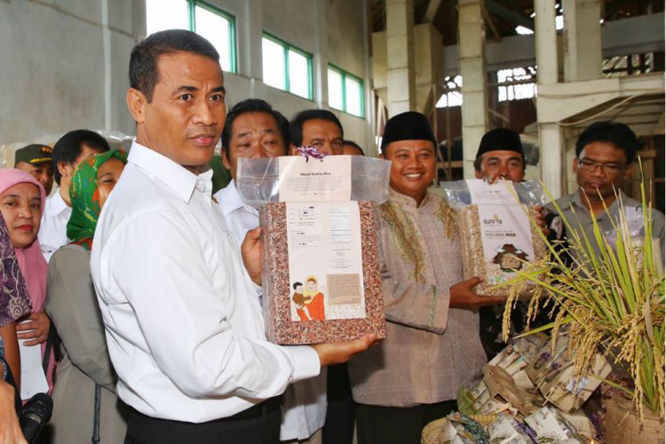 Petani Kabupaten Tasikmalaya Ekspor Padi Organik ke Belgia