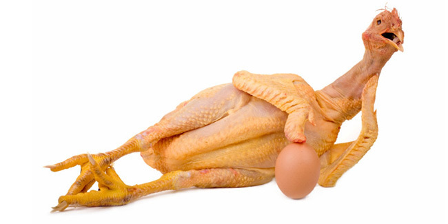 5 Bagian Tubuh Ayam ini Sebaiknya Jangan Sering Dimakan, HATI-HATI GAN!